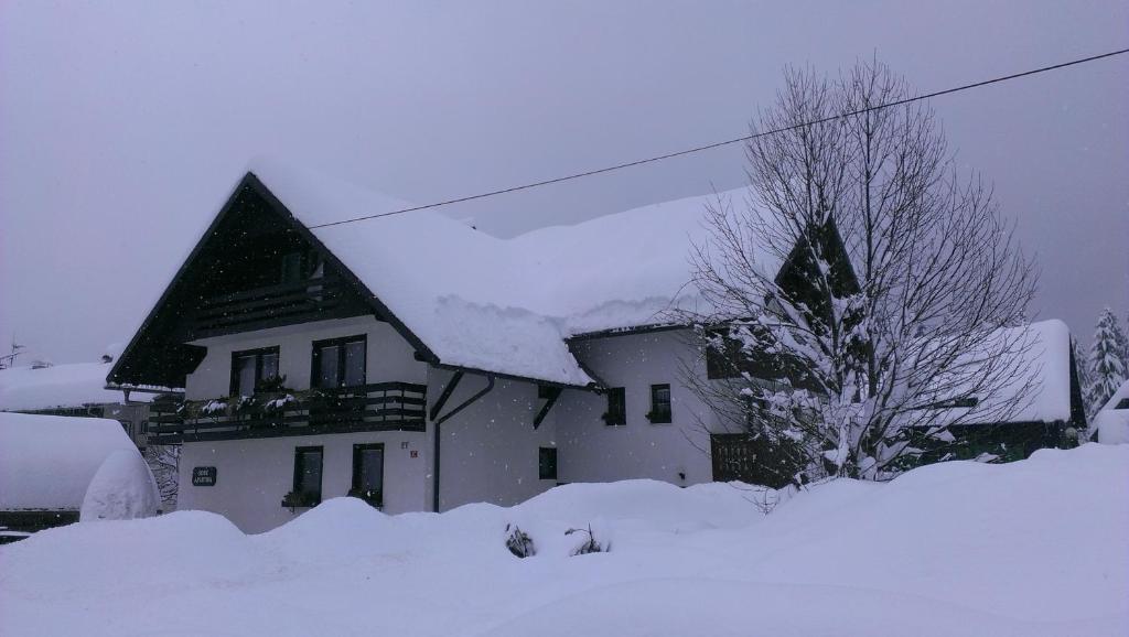 Apartments & Rooms Malej Bohinj Luaran gambar